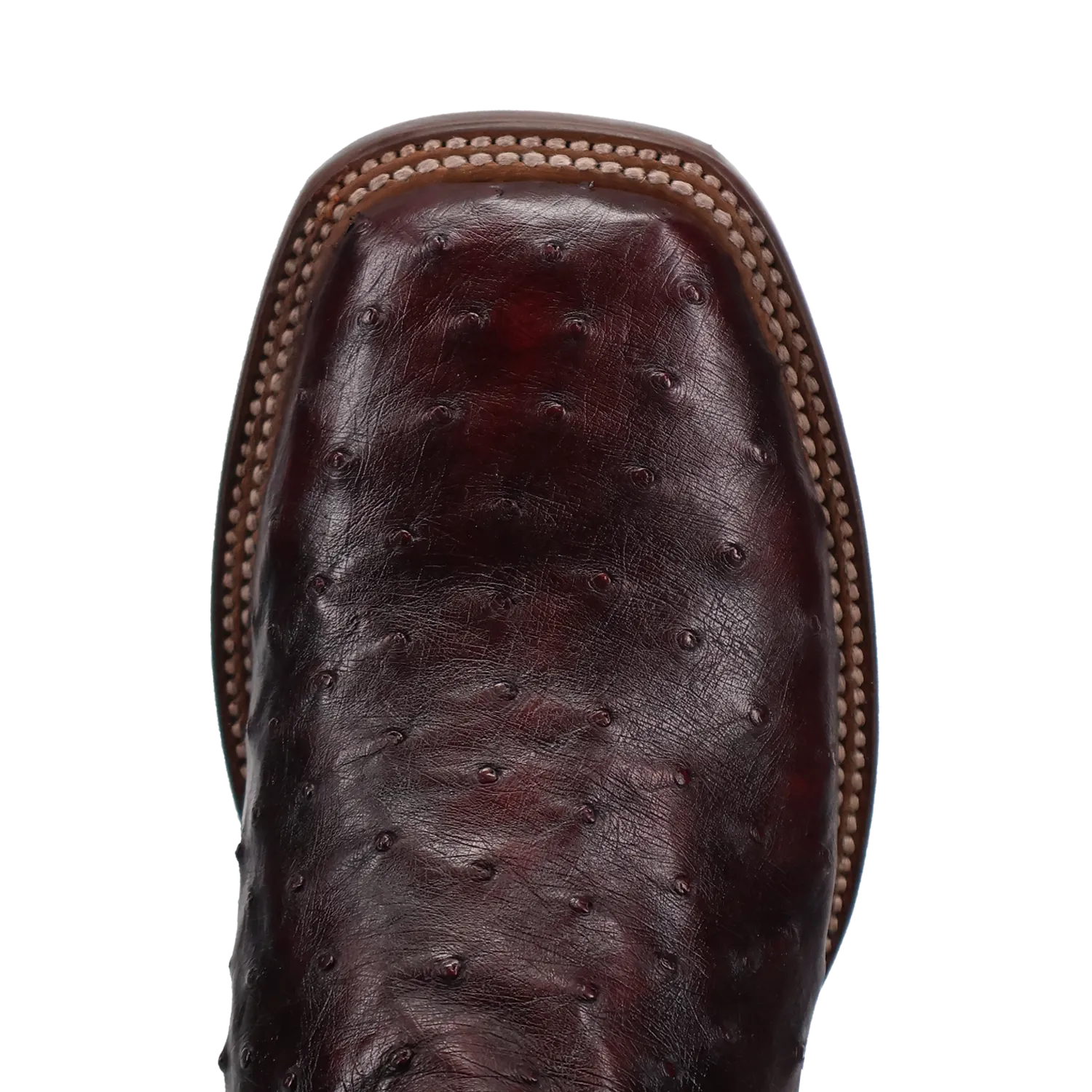 Dan Post DP5012 Men's 11" Alamosa Black Cherry Full Quill Ostrich Wide Square Toe