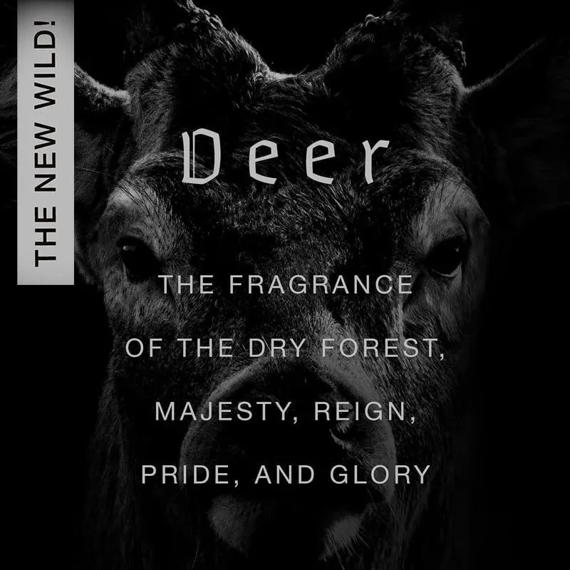 Deer