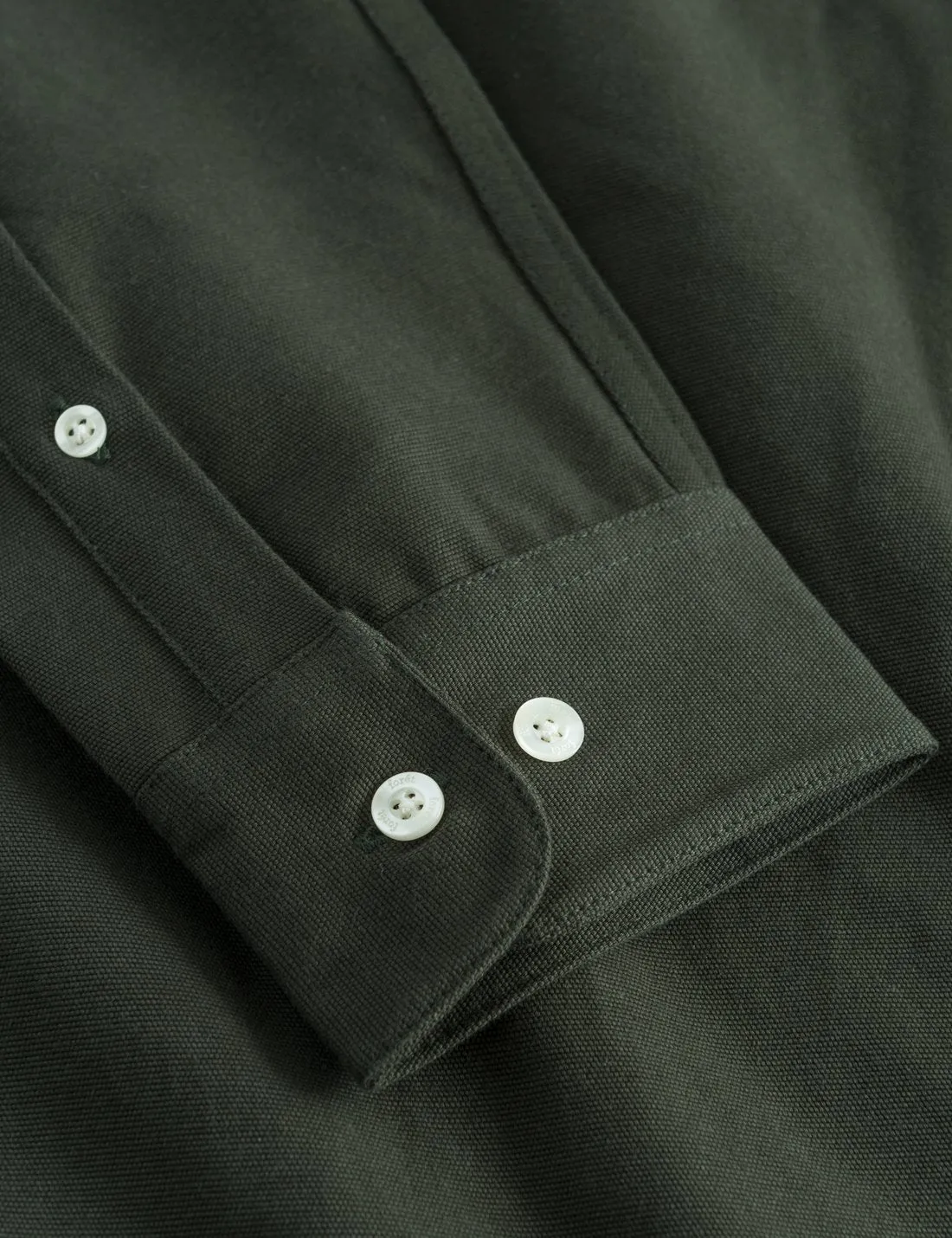 Eel Shirt (Deep Forest)