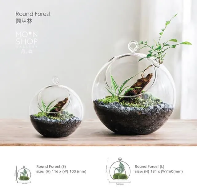 MOON SHOP DIY KIT: Peach Forest