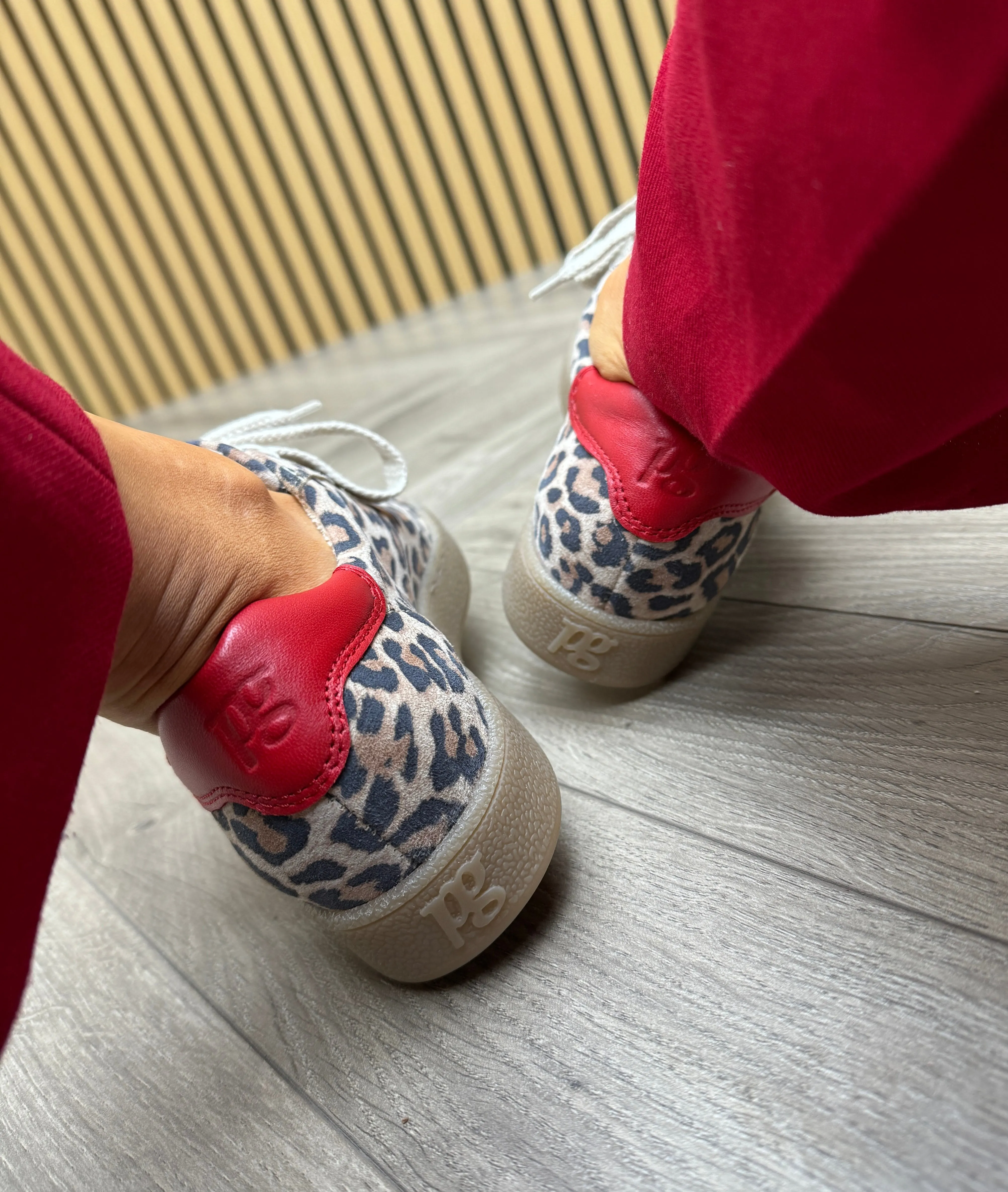 Paul Green (SS25) Leopard Print Trainer with Gum Sole and Red Inserts 5464-13 - Leopard/Nappa Desert/Salsa (PG7)