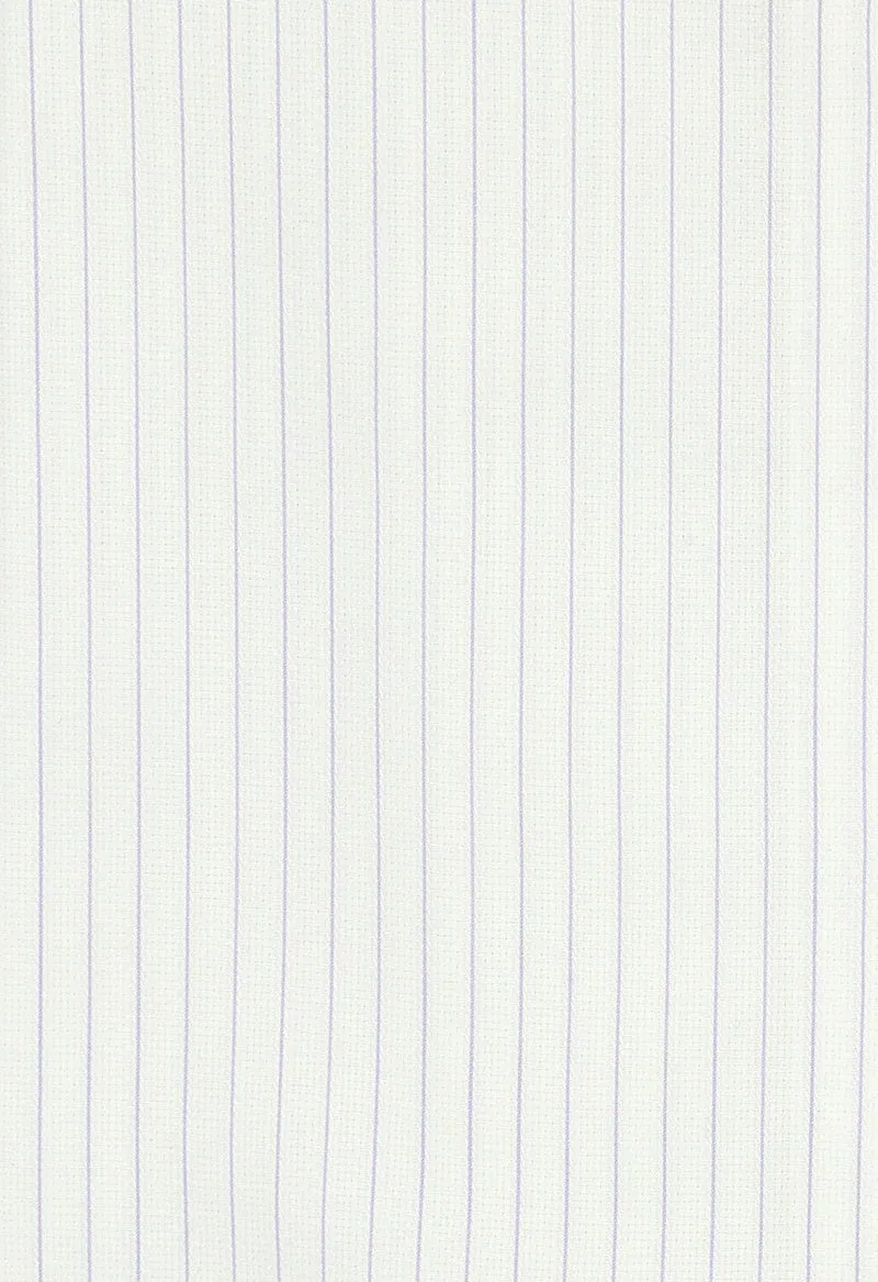 White pin-stripe / Exec072401-02